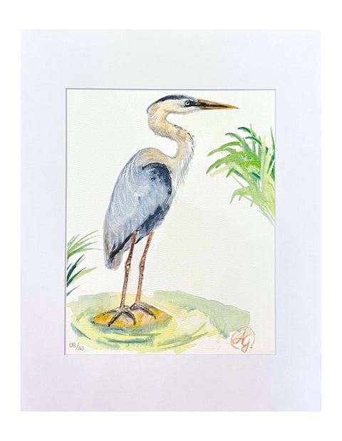 "Blue Heron II" Matted Art Print 11"x14"