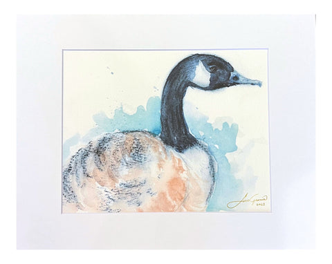 "Canadian Goose" Matted Art Print 11"x14"