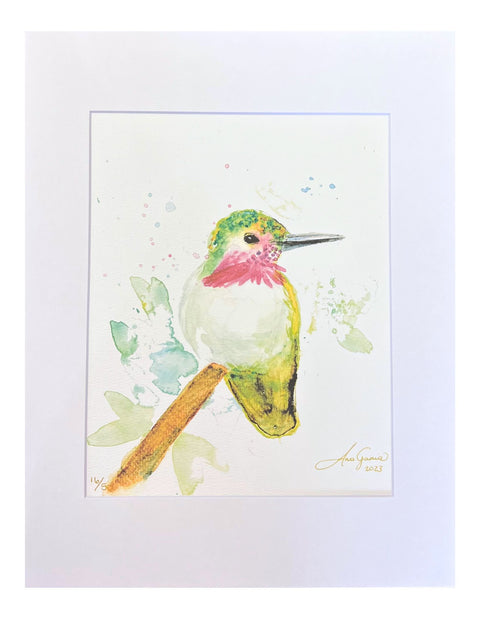 "Hummingbird" Matted Art Print 11"x14"