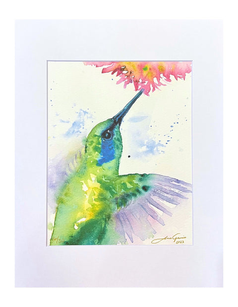 "Hummingbird II" Matted Art Print 11"x14"