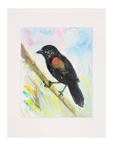 "Red Winged" Matted Art Print 11x14