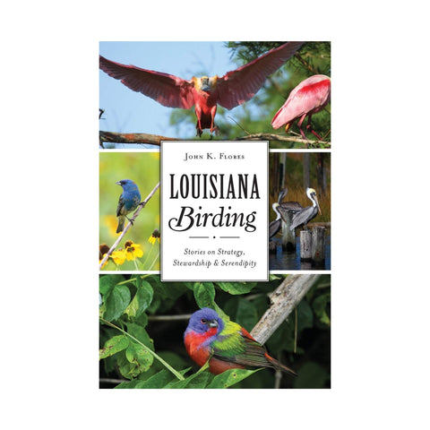 Louisiana Birding: Stories on Strategy, Stewardship and Serendipity
