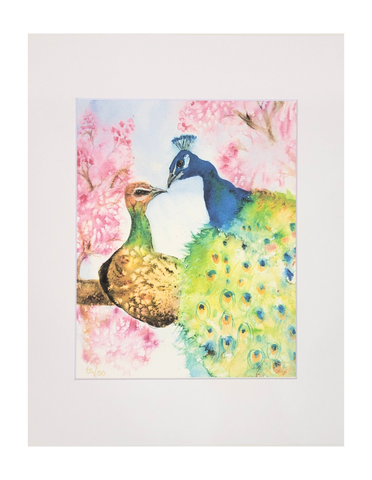 "Peacock Love" Matted Art Print 11x14