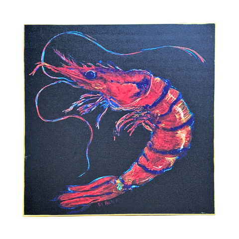 "Spotlight Shrimp" Canvas Fine Art Reproduction