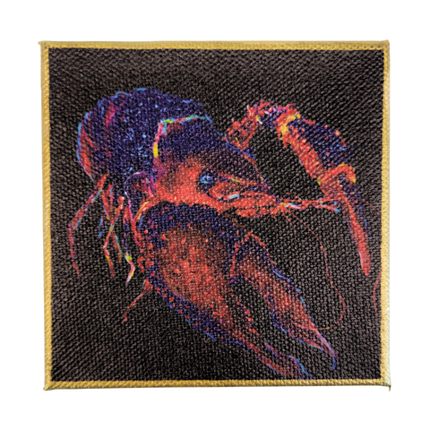 "Spotlight Crawfish" Mini Canvas