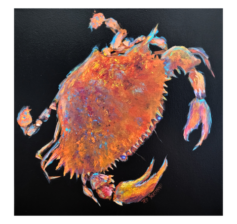 "Spotlight Crab" Acrylic on Canvas 18x18