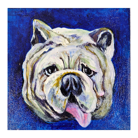 "Bulldog on Blue" Acrylic on Gallery Wrapped Canvas, 6"x6"