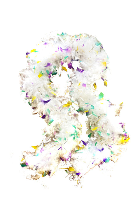 Mardi Gras White Feather Boa with Gold Foil
