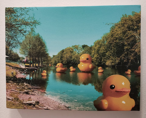 "Rubber Duck Pond" - 318 Art and Garden