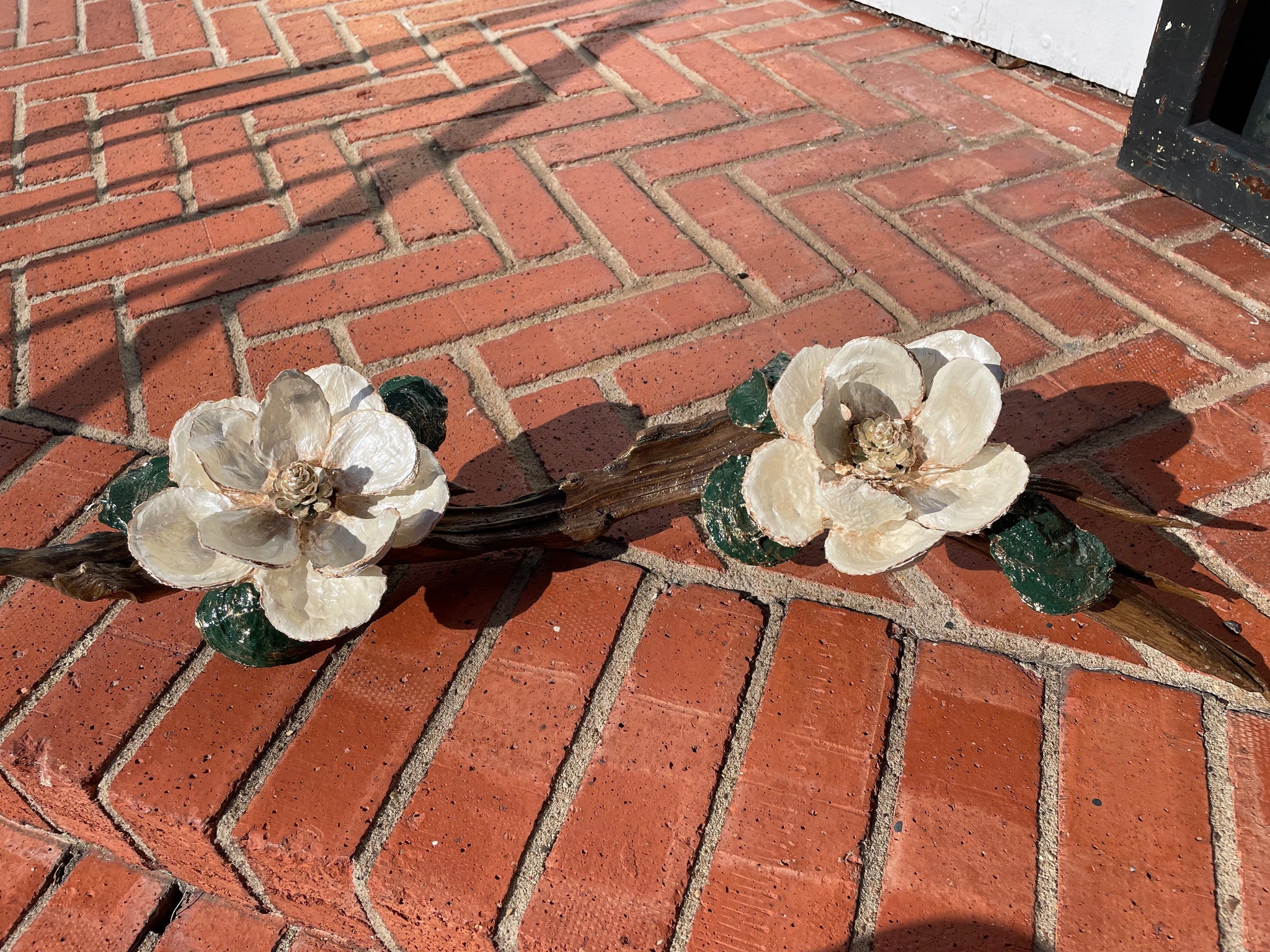 2 Small Magnolias on Driftwood
