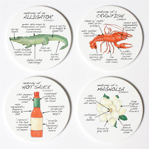 Louisiana Anatomy Coaster Set