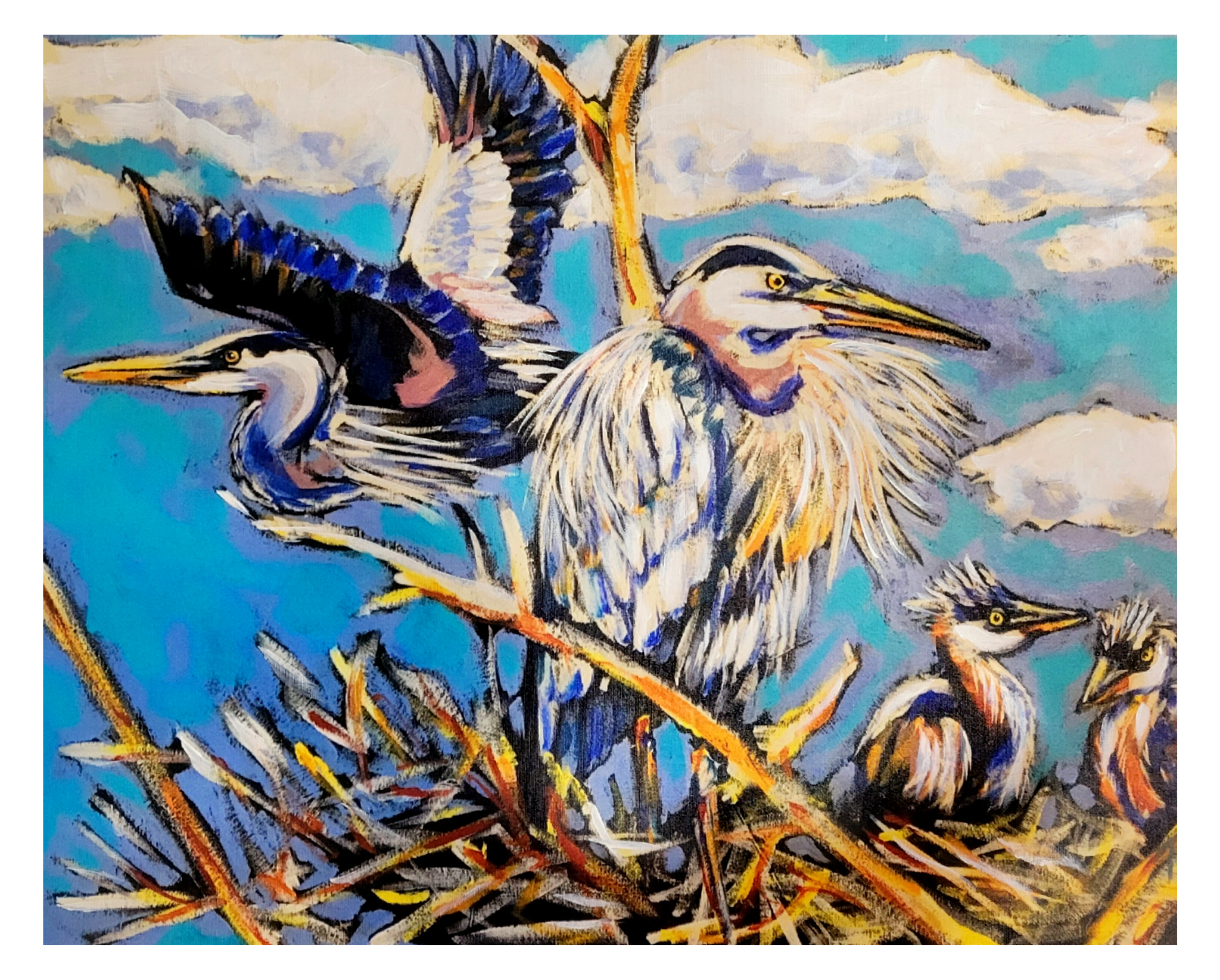 "Great Blue Heron Family" Canvas Reproduction 16x20