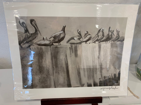 11X14 Print- "Study of Pelican on Pier" - 318 Art and Garden