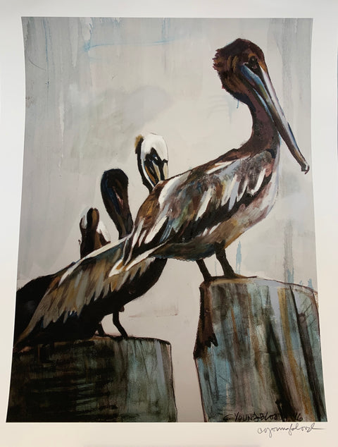 "Pelicans in the Fog" Print - 318 Art and Garden