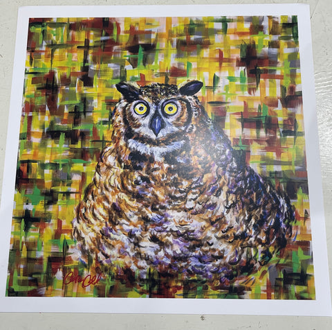 Owl Print 12x12