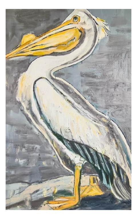 "Louisiana White Pelican" 12x19 Reproduction on Gallery Wrapped Canvas