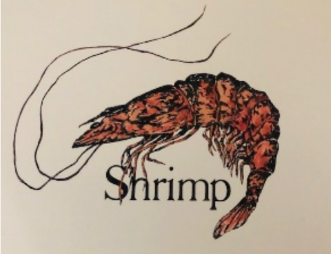 "Shrimp Print" 8x10 by Kay Wallace - 318 Art and Garden
