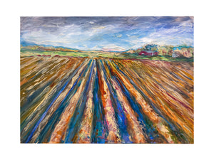 Spring Plowing 18X24