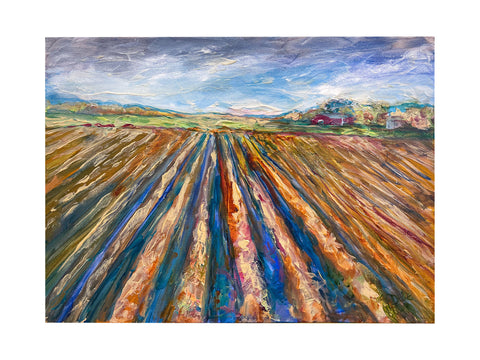 Spring Plowing 18X24