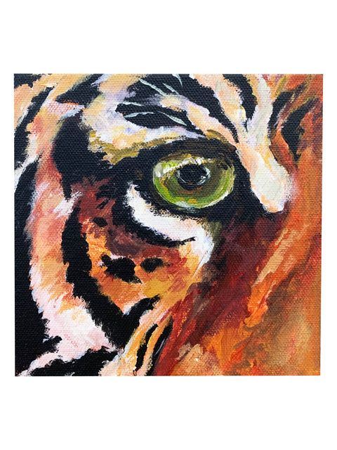 "Tiger Eye" 6X6