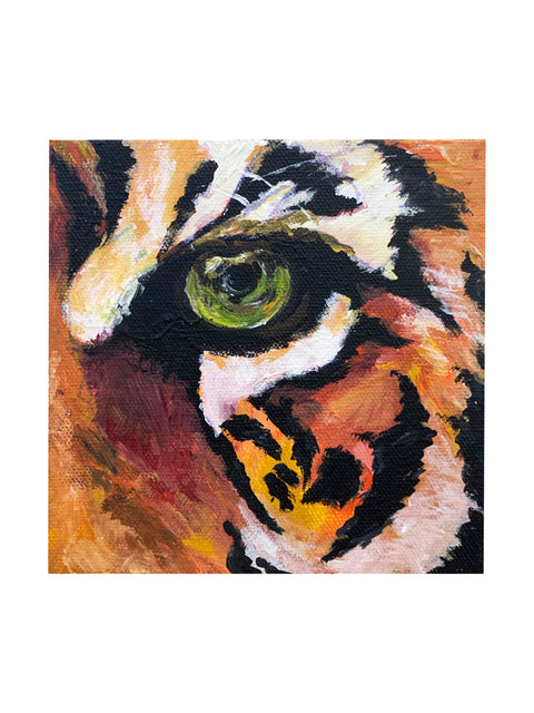 "Tiger Eye" 6X6