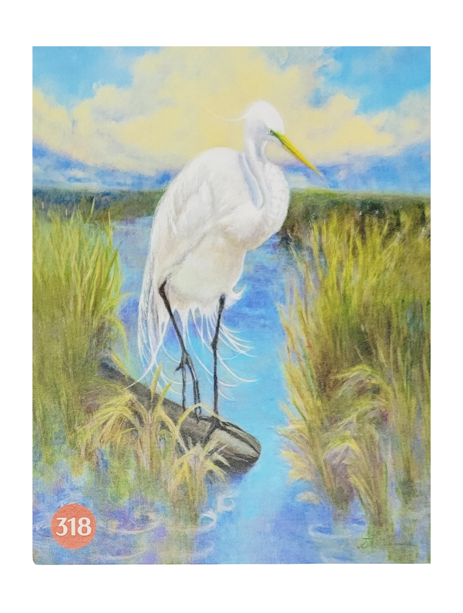 Louisiana Marsh Hunter Postcard