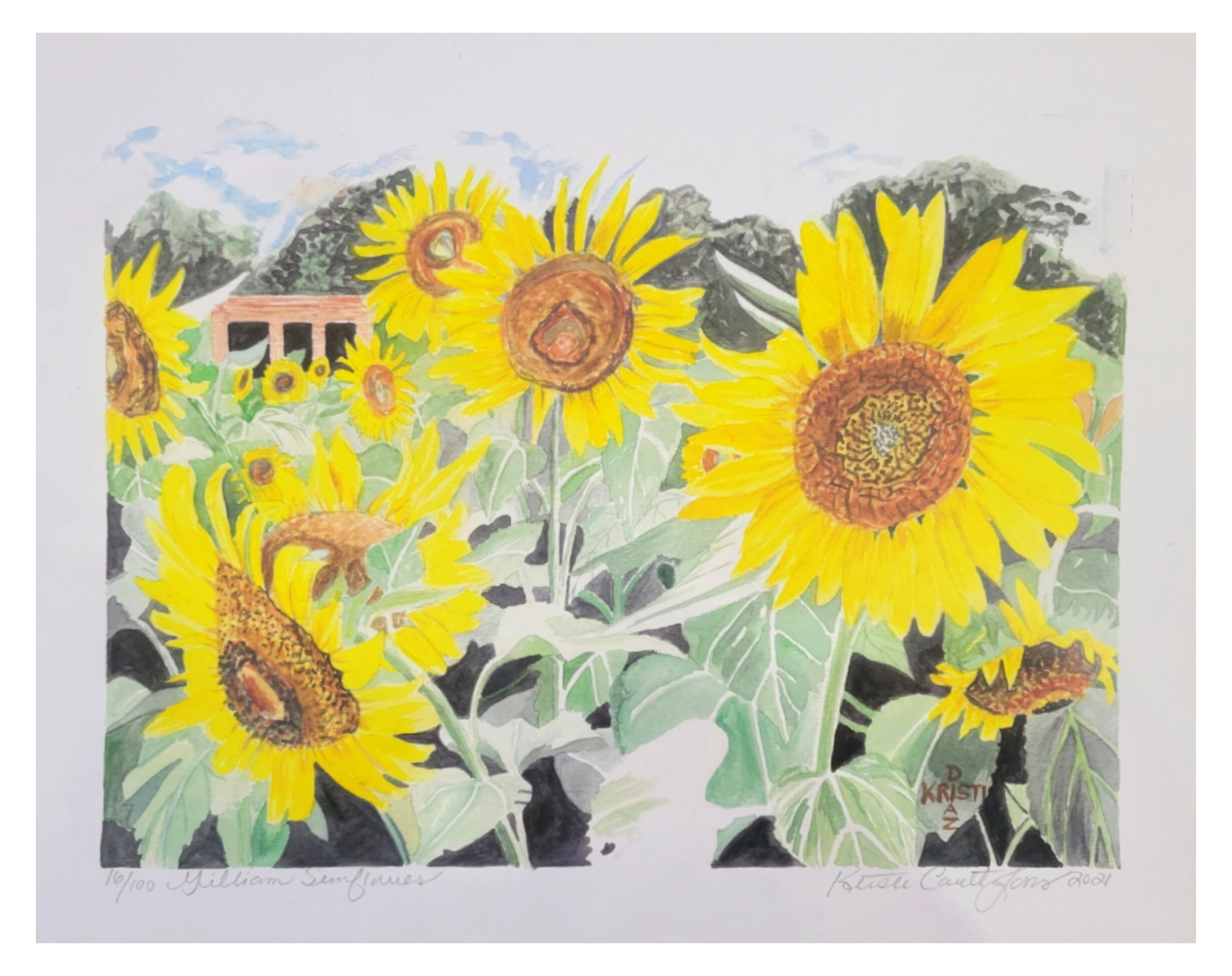 "Gilliam Sunflowers" 11x14 Print