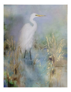 "Great White Egret" Canvas Fine Art Reproduction